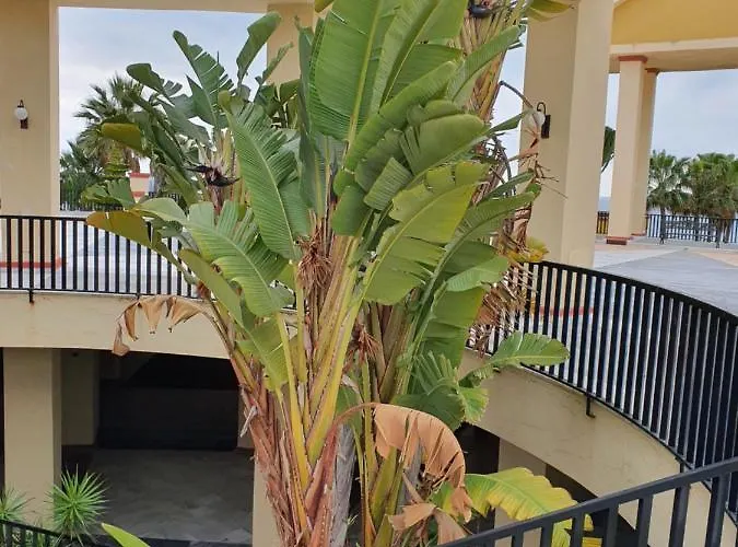Penthouse Haramara, Romana Playa * Marbella
